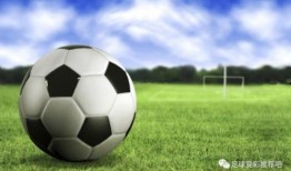 波兰足球爆料视频最新,揭秘最新内幕与精彩瞬间